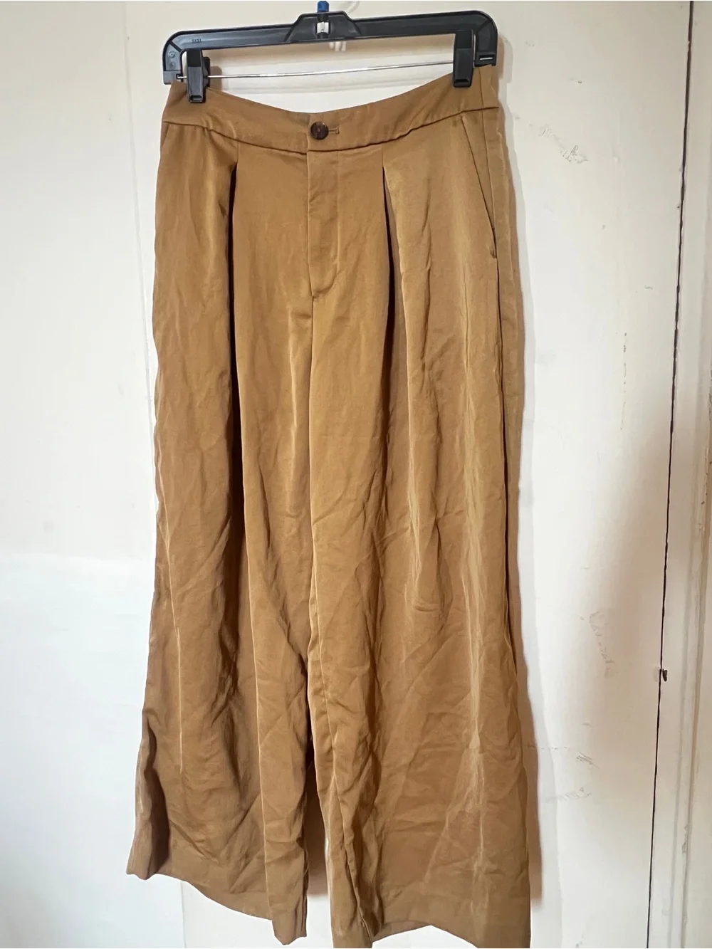 Banana Republic Wide-Leg Pleated Chinos in Camel